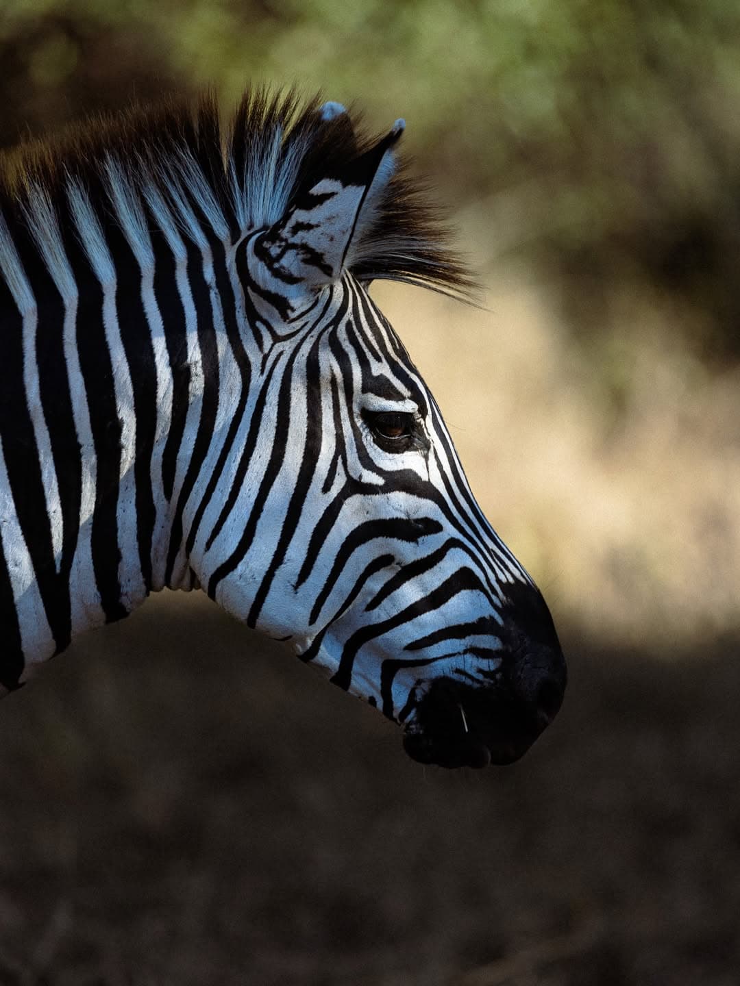 Kitulo National Park