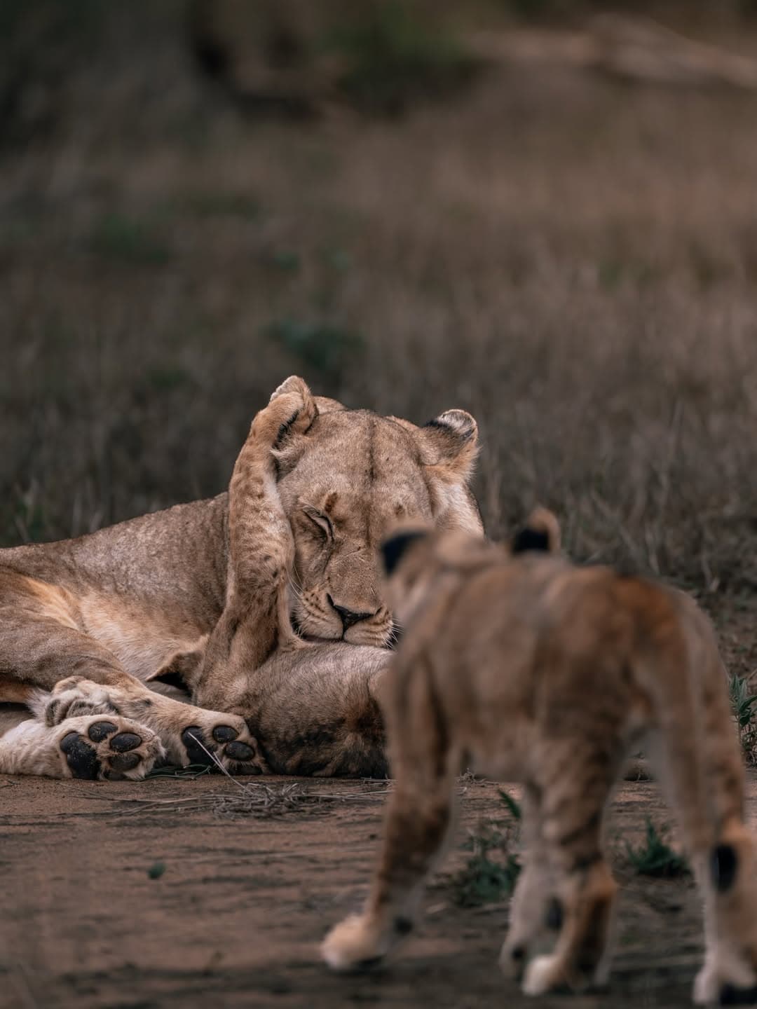 Katavi National Park