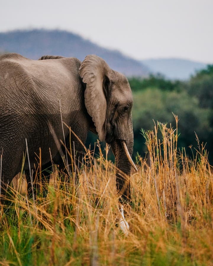 Lake Tanganyika Experiences