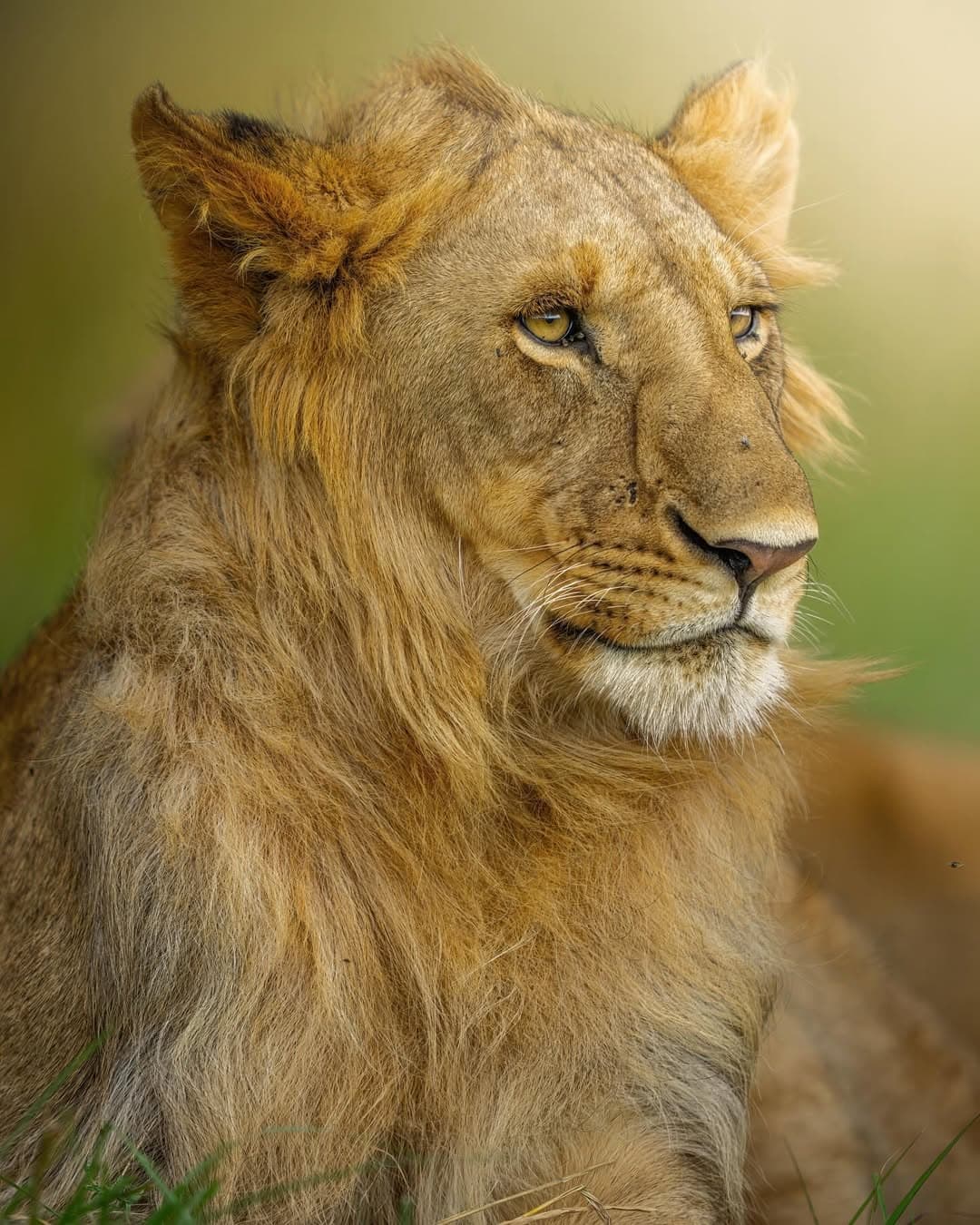 Nyerere National Park