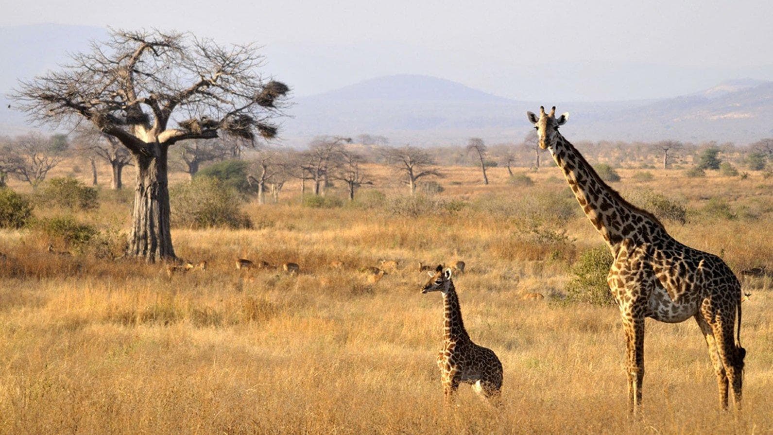Arusha National Park