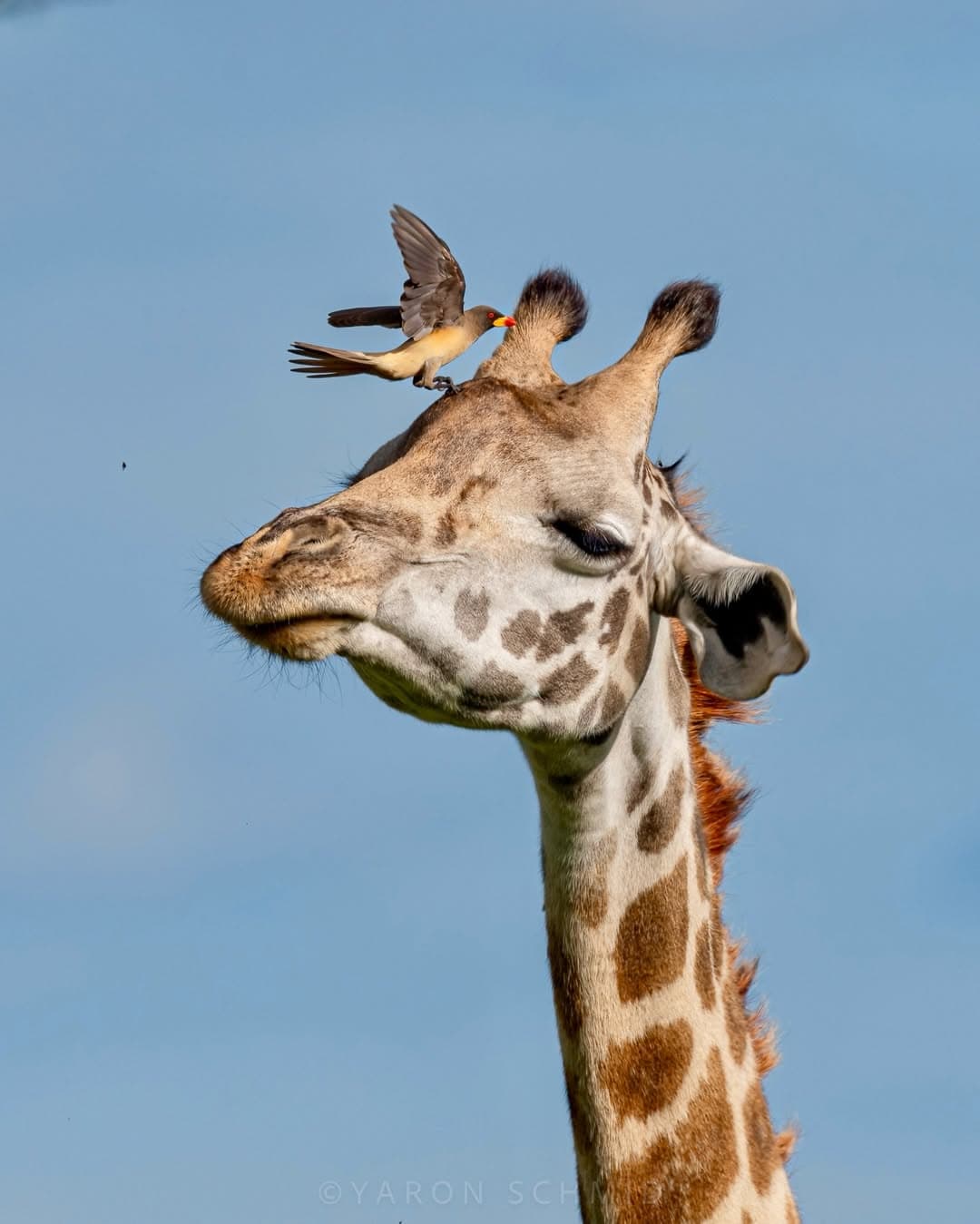 Combining Safari and Sports: A New Way to Experience Africa