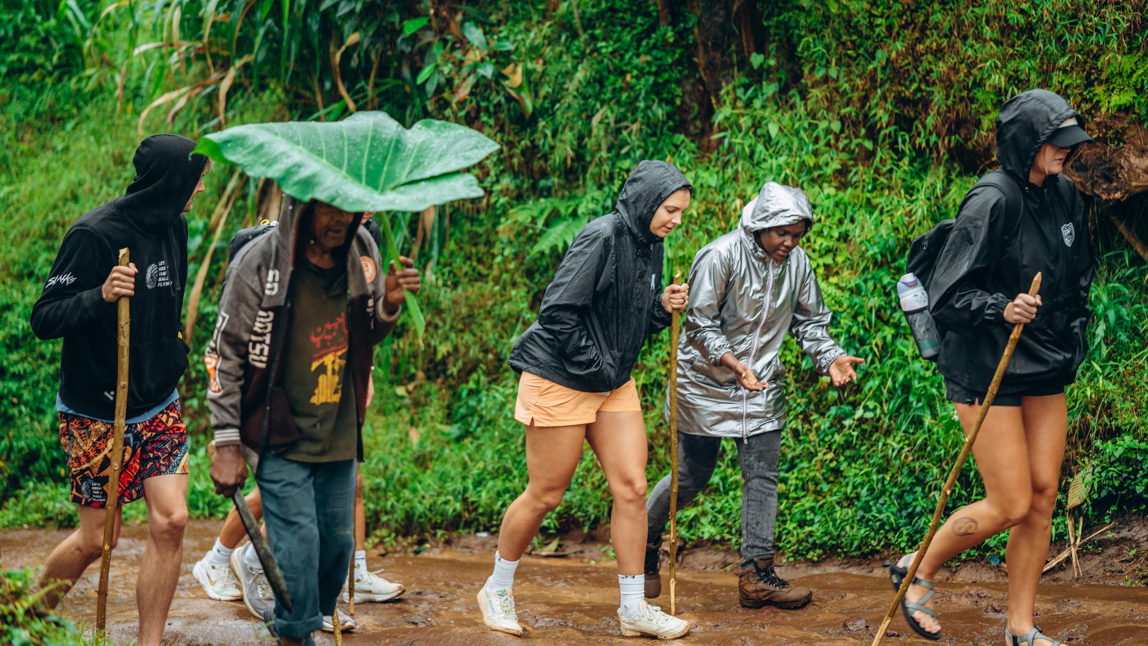 Materuni forest