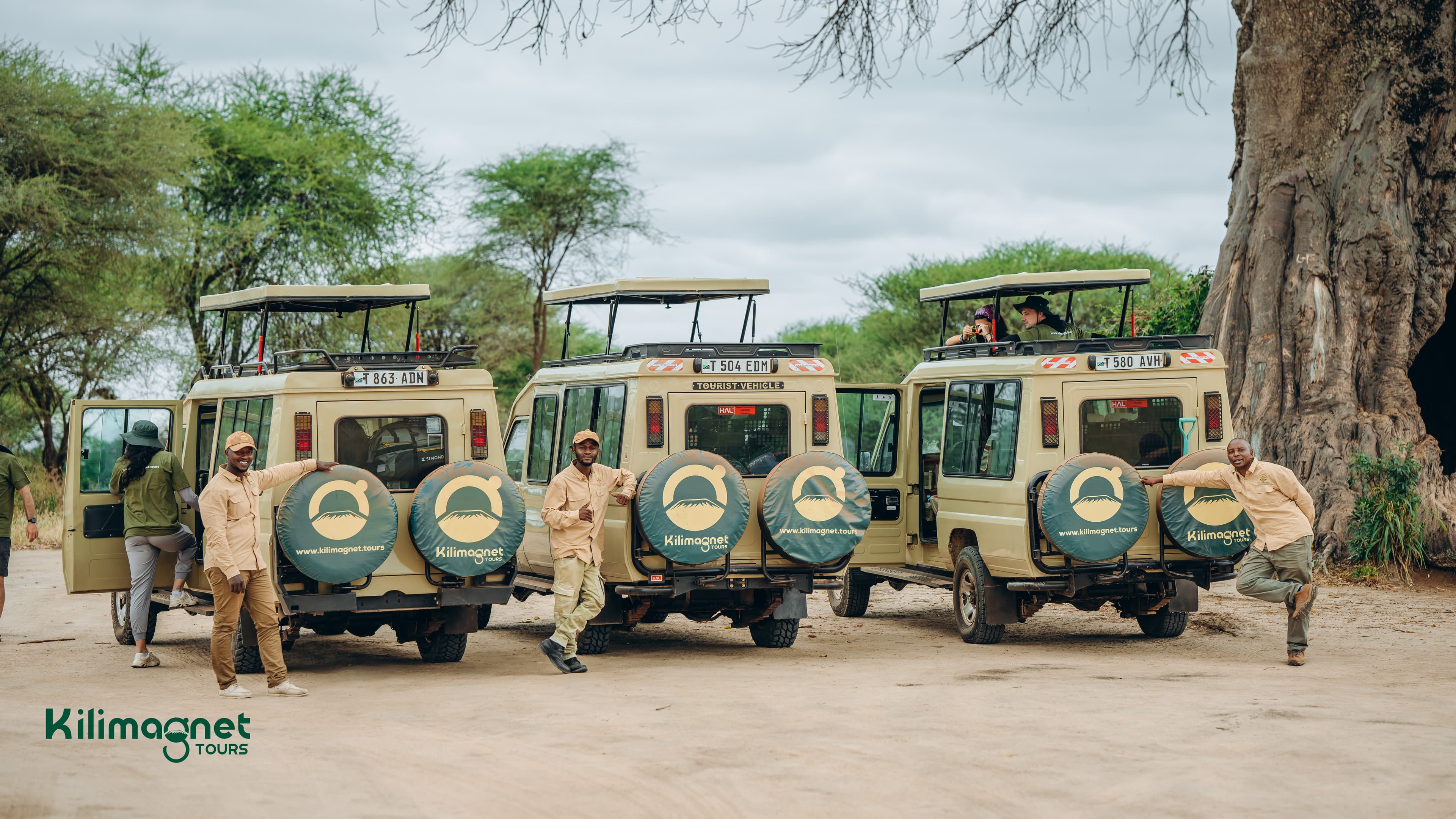 Tarangire elephants